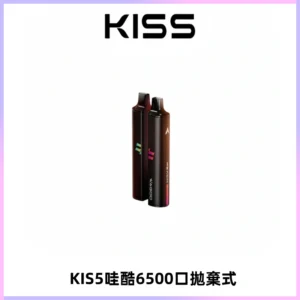 KIS5WAGOO哇酷6500口拋棄式 | 自由混搭雙口味 | 雙芯組合